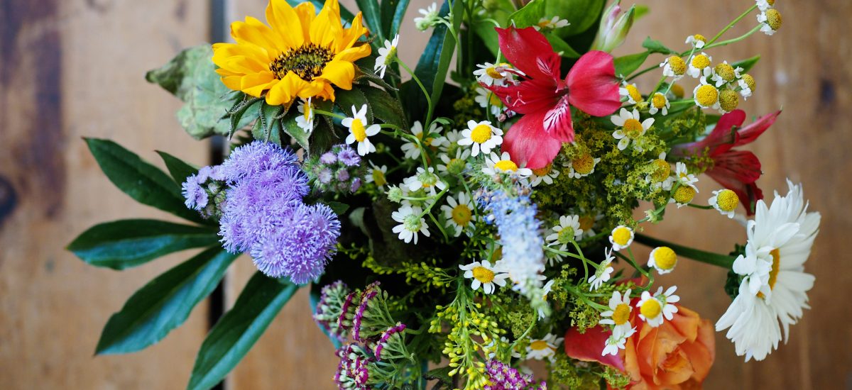 Picture of summer flowers_unsplash