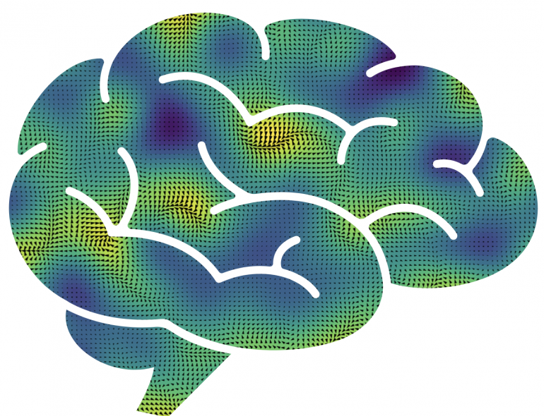 We need a much stronger interaction between Neuroscience, Machine Learning and Mathematics!