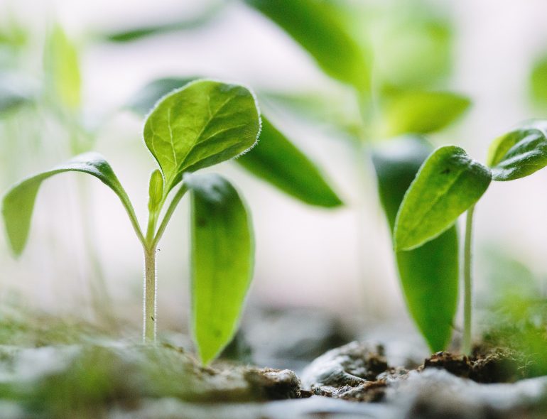 Digital Futures is proud to announce four new Seed projects