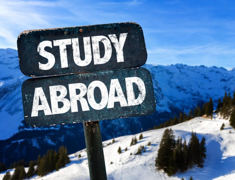 NCCR Automation Fellowship