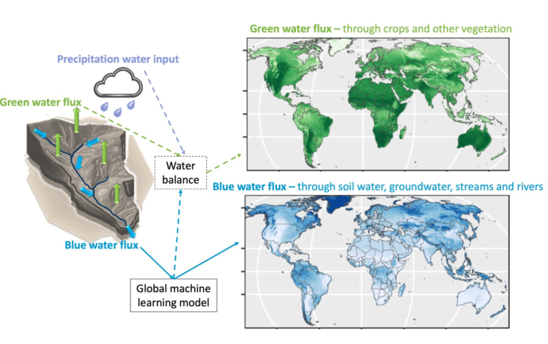 One Earth – Global patterns in water flux partitioning: Irrigated and rainfed agriculture drives asymmetrical flux to vegetation over runoff Graphical